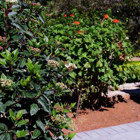 Eleni'S House Villa Asopos ภายนอก รูปภาพ